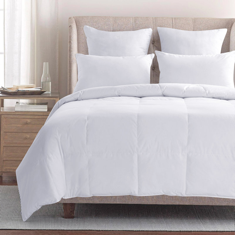 Puredown All Seasons Down Comforter & Reviews Wayfair